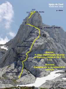 aguja de enol