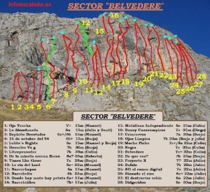 copiadesectorbelvedereo