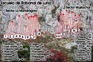 rabanal-mandragora