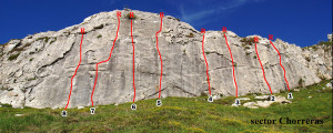 sector-chorreras-crop
